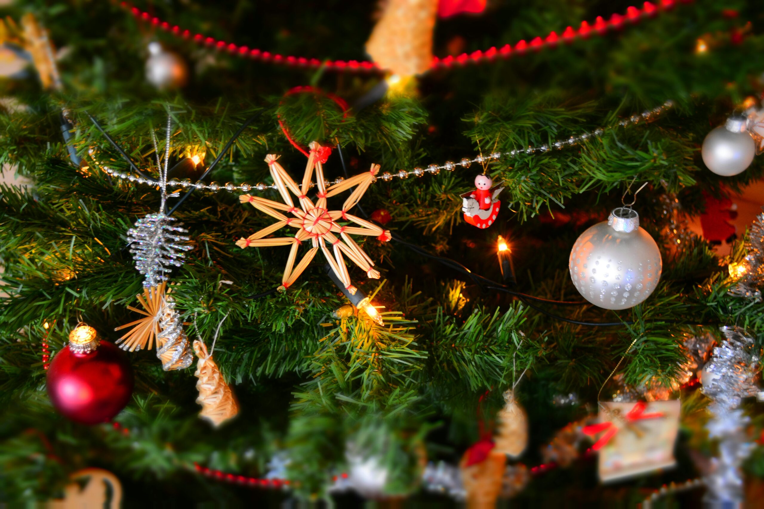 Close-up of Christmas Decoration Hanging on Tree