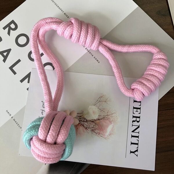 Interactive Training Pet Molar Supplies - Image 4