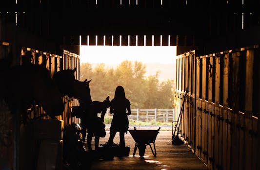 Silhouetted figures with horses in barn at sunrise, capturing rural lifestyle.
